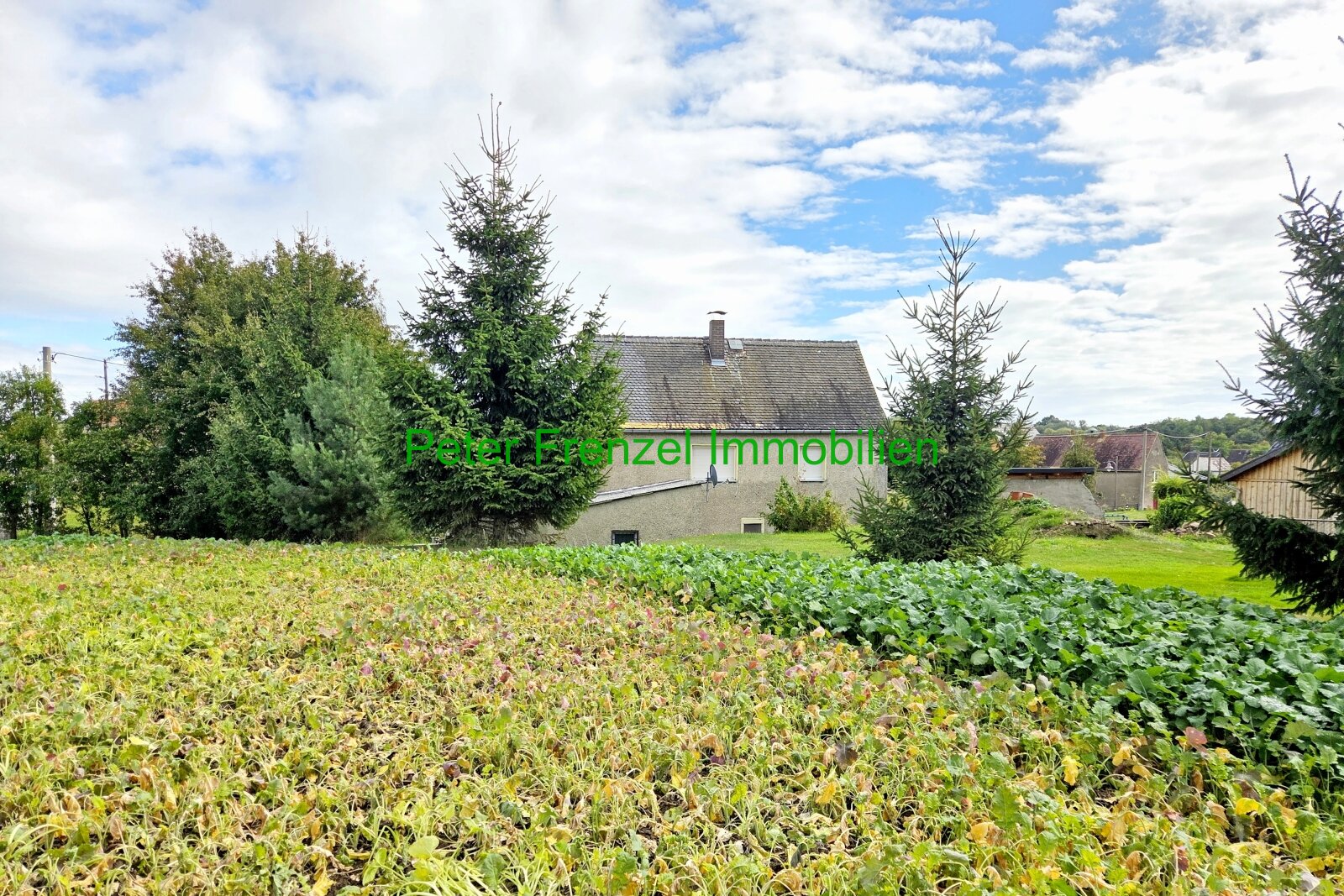Am Ortsrand von Pöhsig - Blick in die Natur Am Ortsrand von Pöhsig - Blick in die Natur